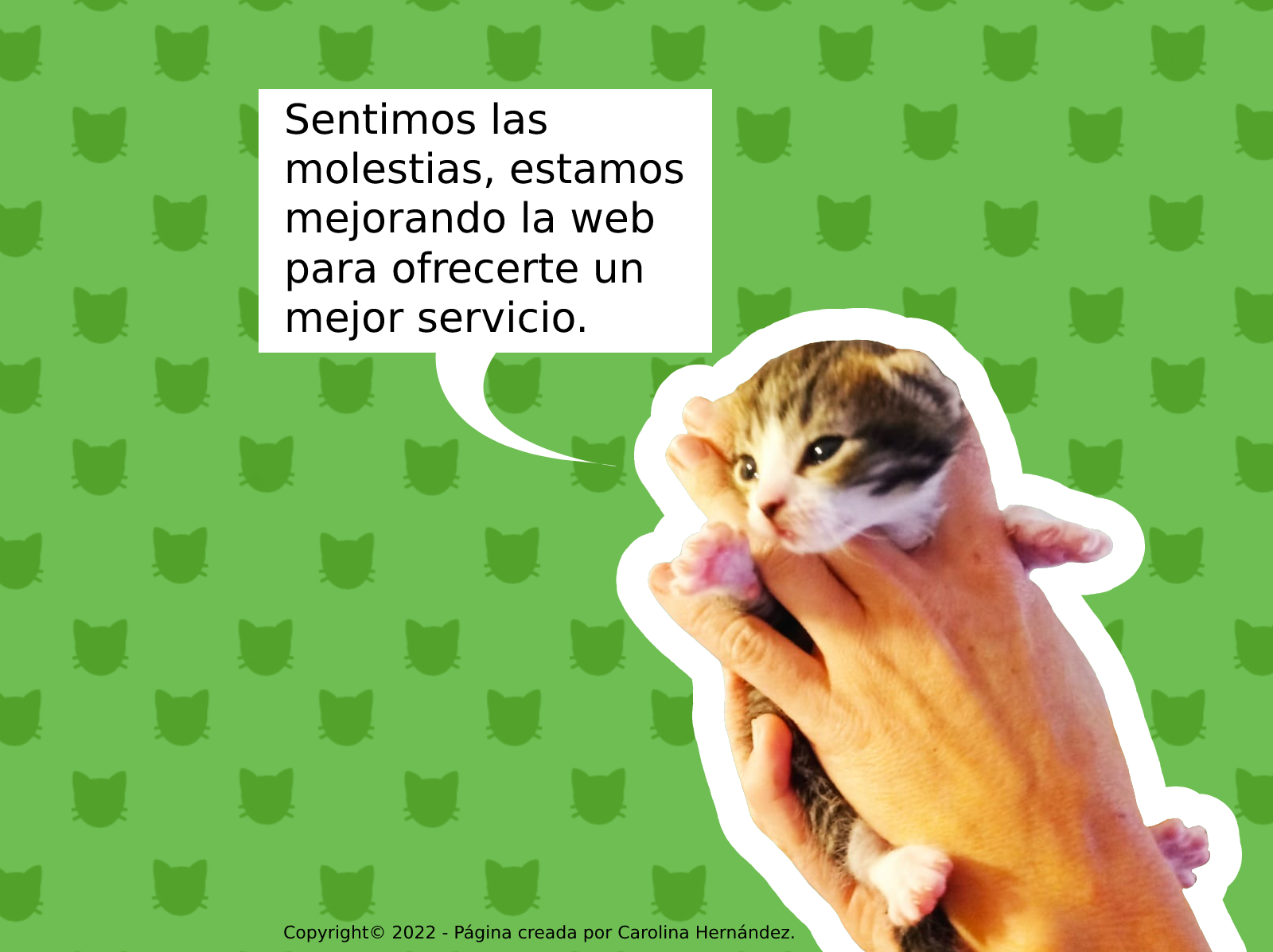 vetunimovil_gato